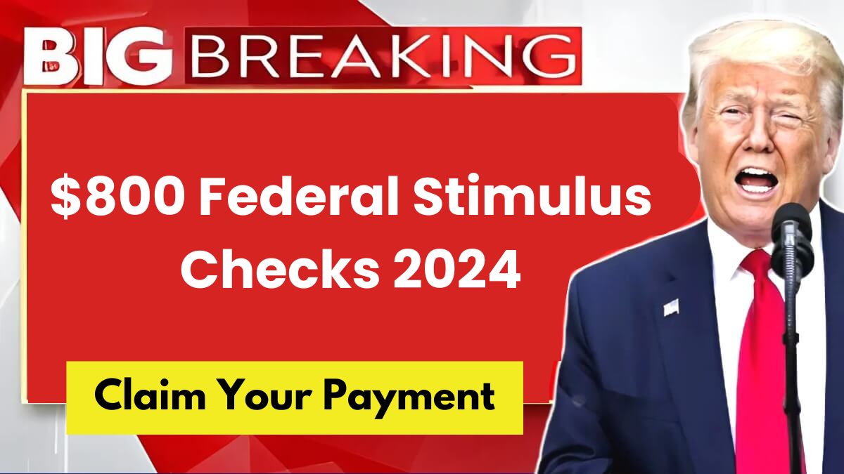 800 Federal Stimulus Checks 2024 Eligibility, Updates, and Payments Date